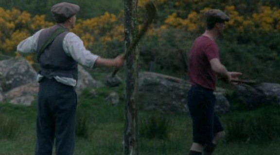 Özgürlük Rüzgarı Fotoğrafı