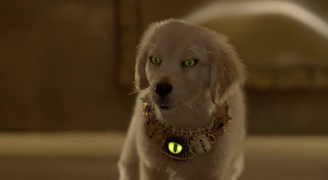 Hazine Bekçileri Fotoğrafı