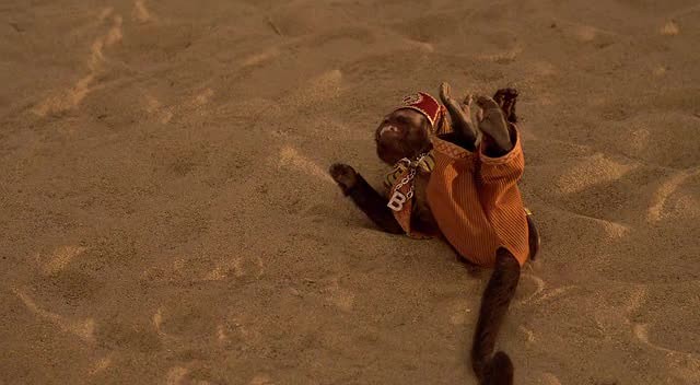 Hazine Bekçileri Fotoğrafı