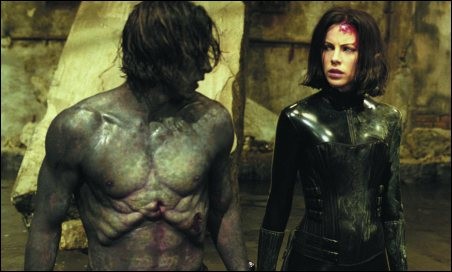 Karanlıklar Ülkesi: Evrim Fotoğrafı