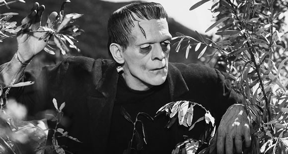 Frankenstein Fotoğrafları 12