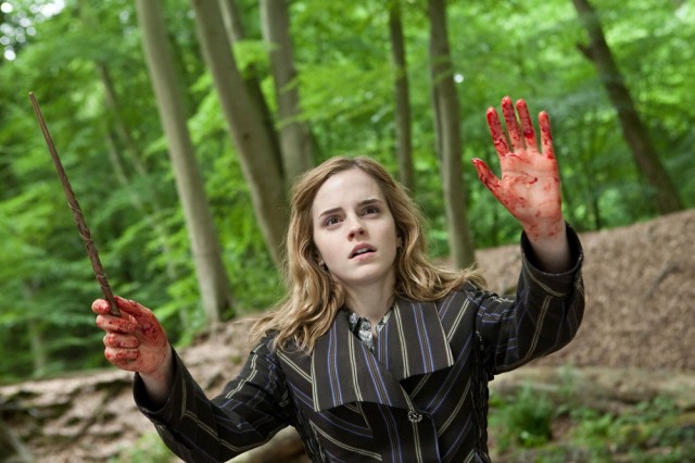 Harry Potter ve Ölüm Yadigarları: Bölüm 1 Fotoğrafı