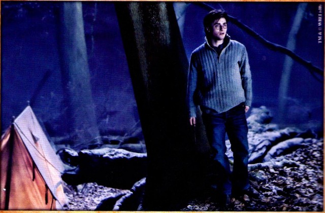 Harry Potter ve Ölüm Yadigarları: Bölüm 1 Fotoğrafları 191