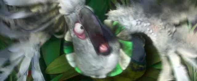 Rio 2 Fotoğrafı