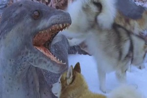 Kutup Macerası Fotoğrafı