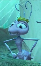 Bir Böceğin Yaşamı Fotoğrafı