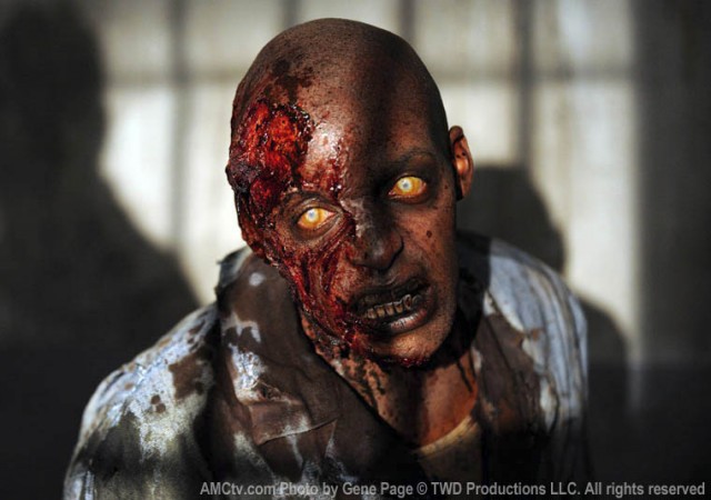 The Walking Dead Fotoğrafı