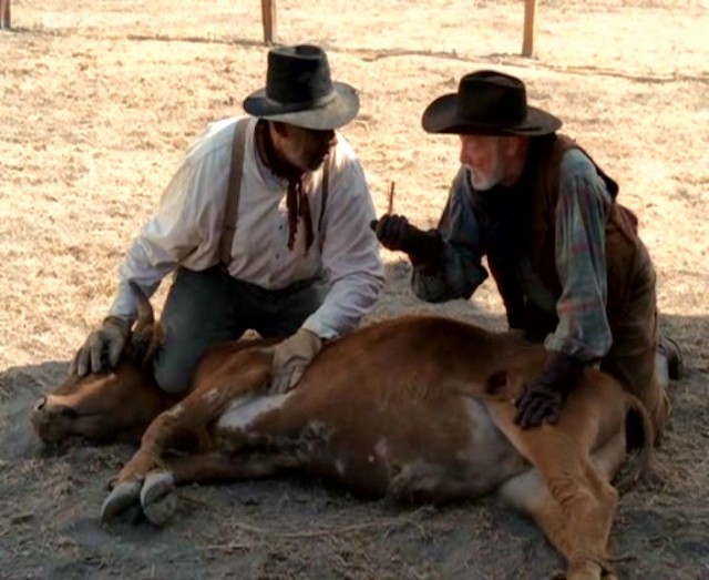 Aşkın Uzun Yolculuğu Fotoğrafı