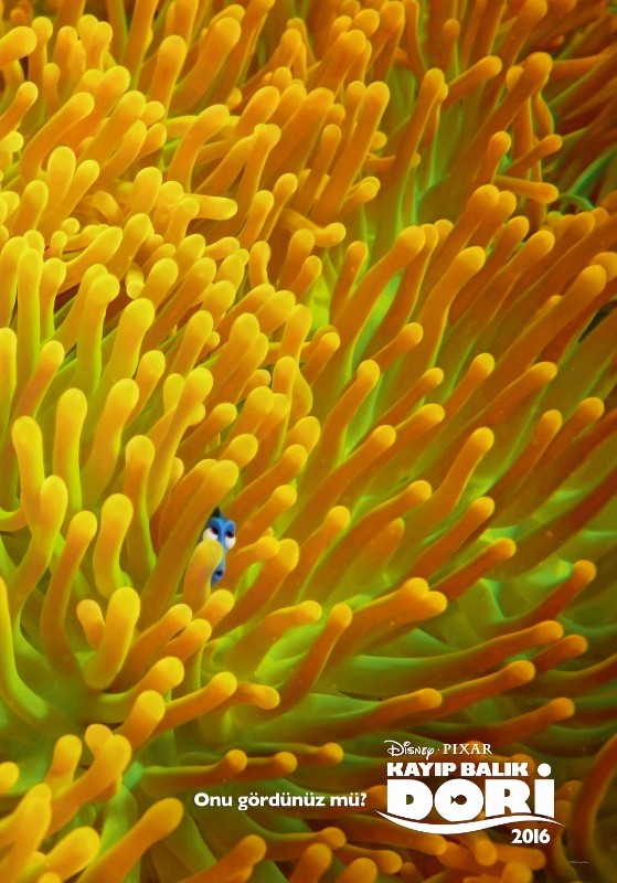 Kayıp Balık Dori Fotoğrafı