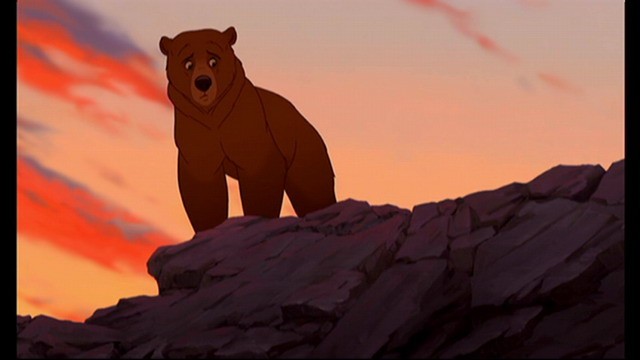 Ayı Kardeş Fotoğrafı