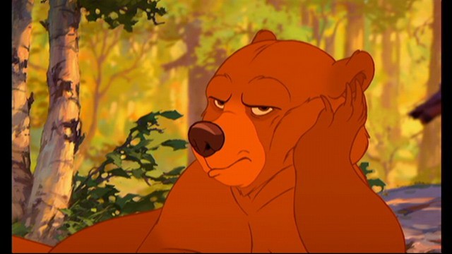 Ayı Kardeş Fotoğrafı