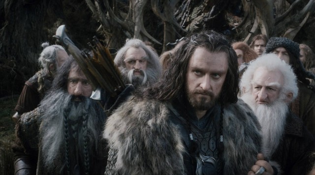 Hobbit: Smaug'un Çorak Toprakları Fotoğrafı