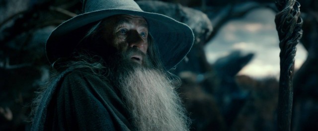 Hobbit: Smaug'un Çorak Toprakları Fotoğrafı