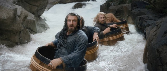 Hobbit: Smaug'un Çorak Toprakları Fotoğrafı