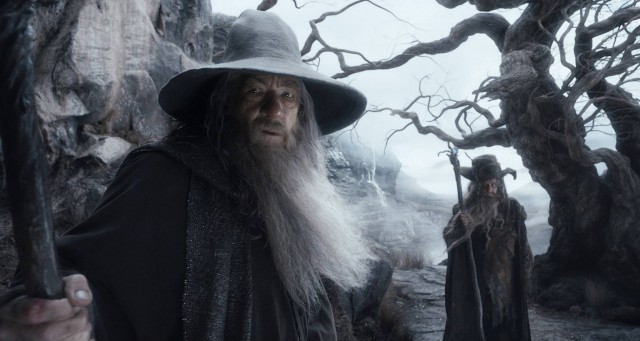 Hobbit: Smaug'un Çorak Toprakları Fotoğrafı