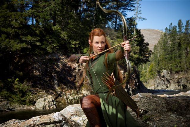 Hobbit: Smaug'un Çorak Toprakları Fotoğrafı