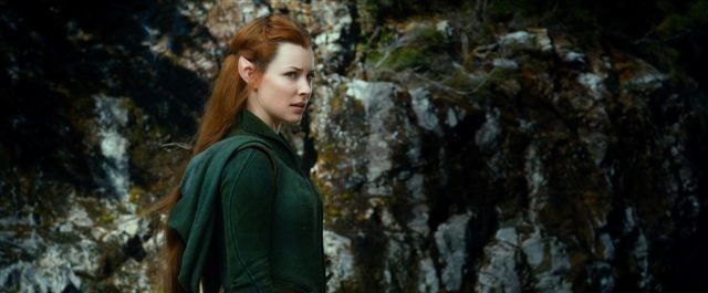 Hobbit: Smaug'un Çorak Toprakları Fotoğrafı