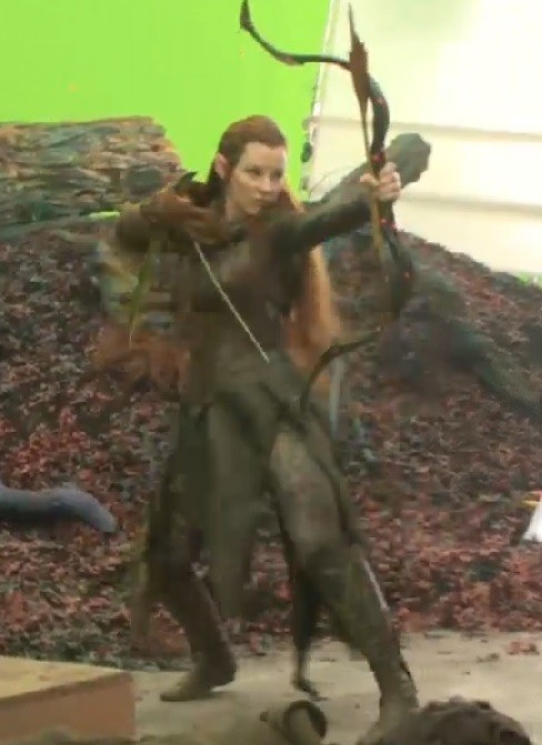 Hobbit: Smaug'un Çorak Toprakları Fotoğrafı