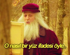 Leyla ile Mecnun Fotoğrafı