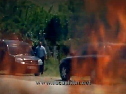 Deniz Yıldızı Fotoğrafı