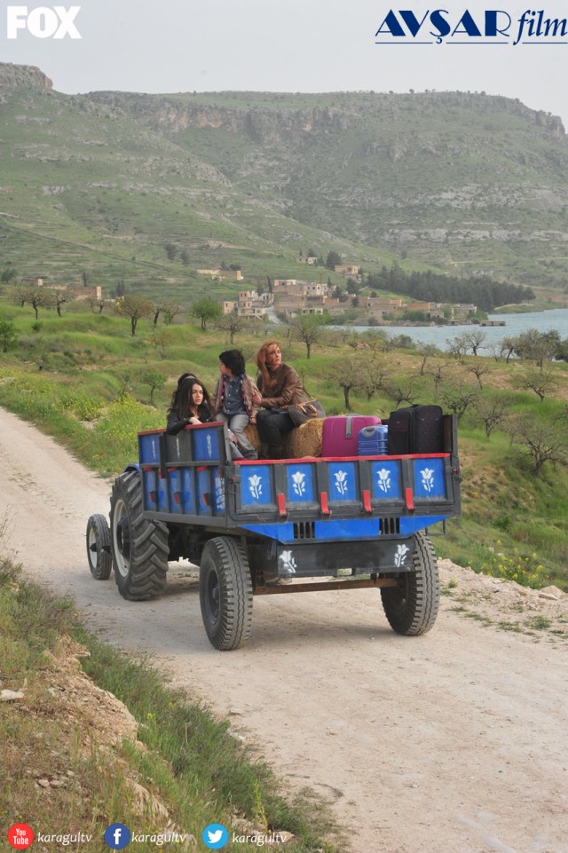 Karagül Fotoğrafı