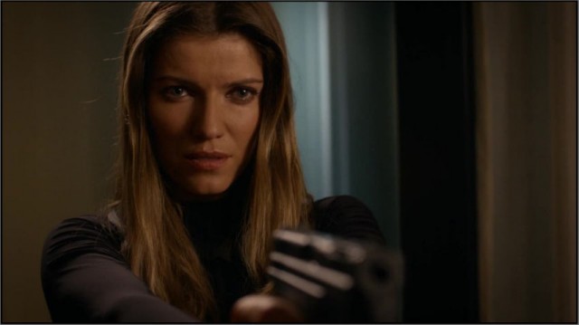 Banshee Sezon 1 Fotoğrafı