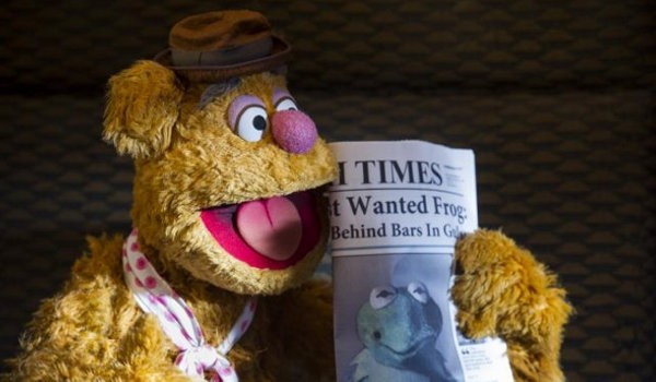 Muppets Aranıyor Fotoğrafı