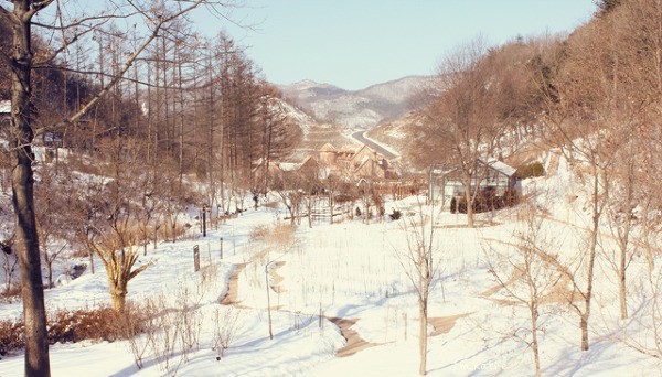 Wind Blows in Winter Fotoğrafı