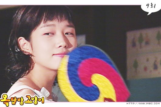 Rooftop Room Cat Fotoğrafı