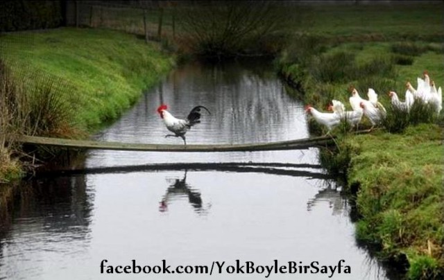 Babamın Bisikleti Fotoğrafı