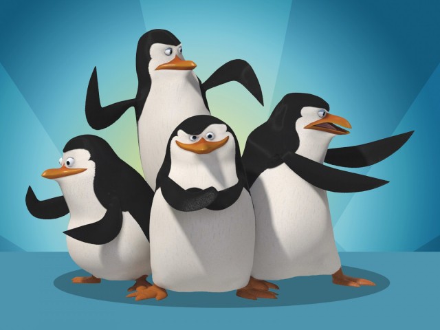 Madagaskar Penguenleri fotoğrafı