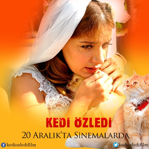 Kedi Özledi Fotoğrafları 13