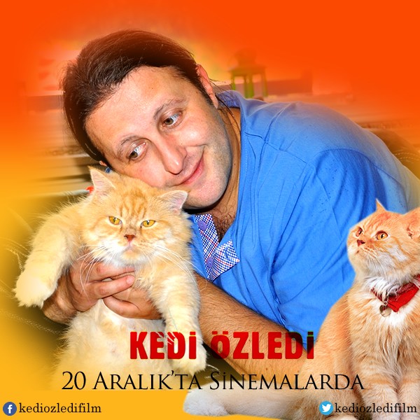 Kedi Özledi Fotoğrafları 15