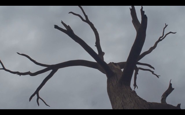 Çöldeki İzler Fotoğrafı