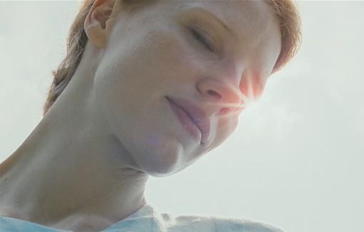 Hayat Ağacı Fotoğrafı