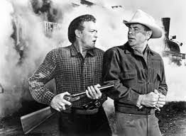 Gönüllü Katil Fotoğrafı