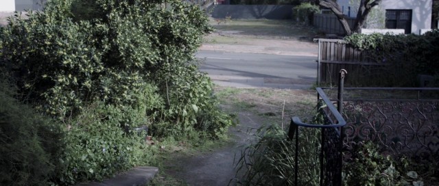 Karabasan Fotoğrafı