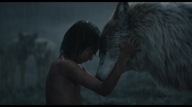 Orman Çocuğu Fotoğrafı