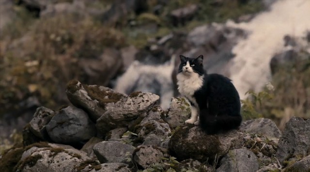 Bizum Hoca Fotoğrafı