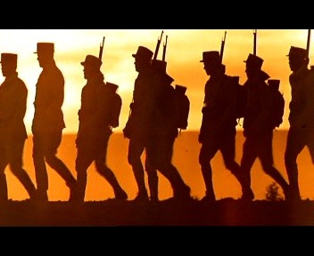 Çöl Kaplanı Fotoğrafı