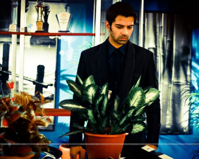 Bir Garip Aşk Fotoğrafı