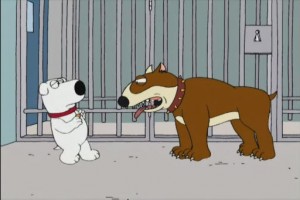 Family Guy Fotoğrafları 11