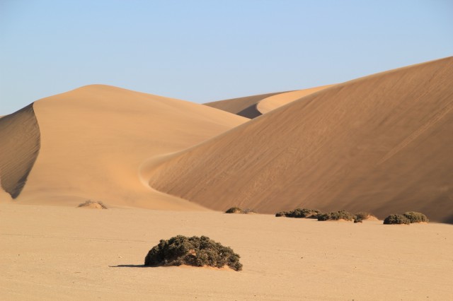 Safari Macerası Fotoğrafı