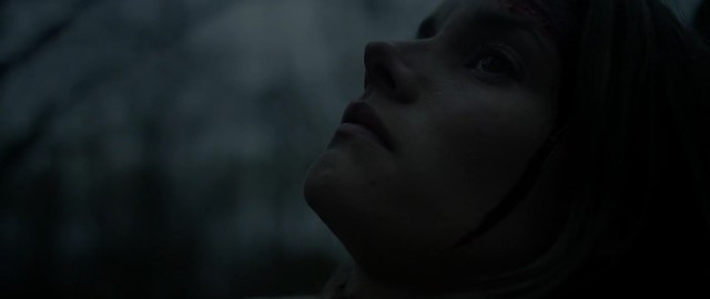 Ölüm Ormanı Fotoğrafı