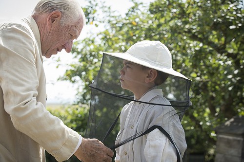 Mr. Holmes ve Müthiş Sırrı Fotoğrafı