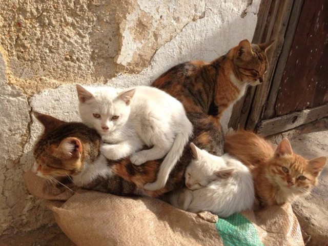 Bekir Develi ile Keşif Zamanı Fotoğrafları 201