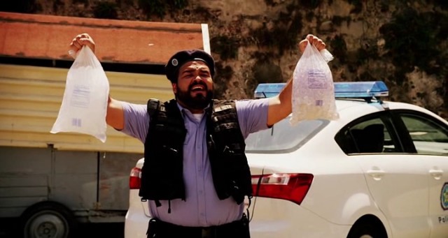 Falcon Rising Fotoğrafı