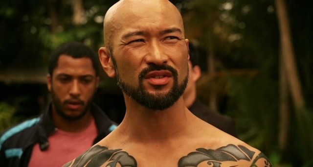 Falcon Rising Fotoğrafı