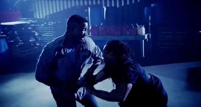 Falcon Rising Fotoğrafı