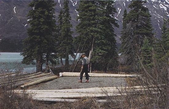 Alone in the Wilderness Fotoğrafı